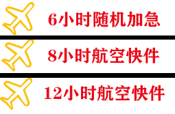 甘孜格萨尔空运快递公司,专业空运当天件